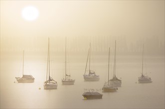 Fog over Lake Constance on an autumn morning with sailing boats