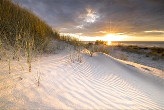 Sunset in the dunes at the North Sea