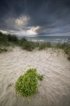Evening mood with cloudy sky and rain on the beach and in the dunes of De Panne