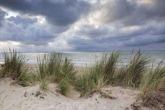 Dune landscape on the North Sea coast in De Panne