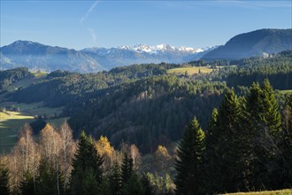 Landscape near Missen-Wilhams in Allgäu with a view of forests and mountains. On the left in the picture the mountain Grünten. Some snow-covered Alpine peaks. Blue sky