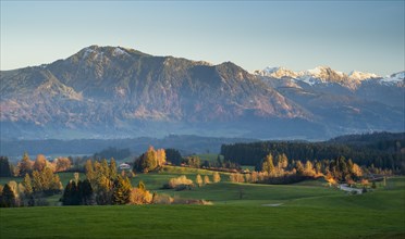 Autumn landscape in the Allgäu. View of the Grünten mountain at golden hour. Meadows and trees in autumn leaves in the foreground. Immenstadt im Allgäu area