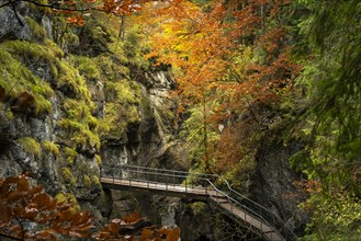 The Starzlachklamm gorge in autumn with trees in autumn leaves. The circular path becomes a bridge and crosses the Starzlach river. Allgäu