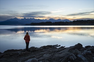 Lake Forggensee in Allgäu in autumn after sunset. A woman stands on the shore. Rock formations in the foreground