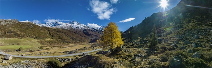 Colourful larches and mountain panorama