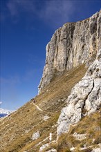 Hiking trail at the foot of the Catinaccio massif