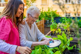 Nurse and elderly woman applying fertilizer to plants in an urban garden at a nursing home