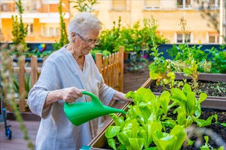 Elder woman watering plants in a garden at geriatric