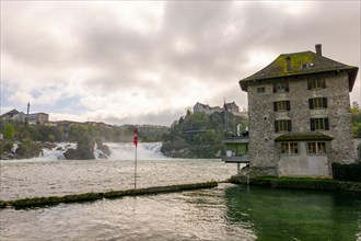 Rhine Falls and Swiss Flag with the Castle Laufen at Neuhausen