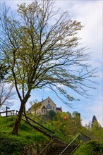 Tree and Staircase and Swiss Flag with the Castle Laufen at Neuhausen