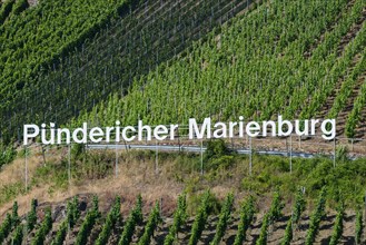 Pündericher Marienburg vineyard