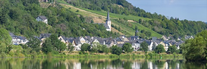 The wine village of Briedel on the Moselle
