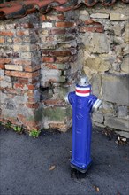Blue hydrant in front of city wall
