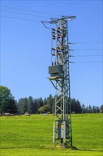 High-voltage pylon with transformer in meadow with cows