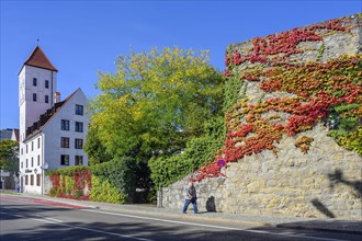 Waisentor and Burgstraße with last remains of the town wall overgrown with wild vine
