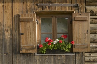 Window with shutters and geraniums at an alpine hut