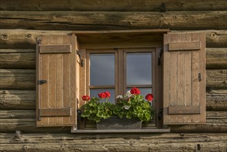 Window with shutters and geraniums at an alpine hut