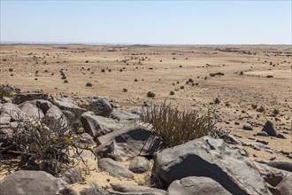 Landscape in the Namib Naukluft Park