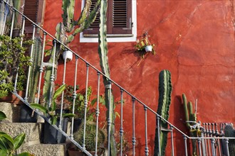 Staircase decorated with cacti in front of red house façade