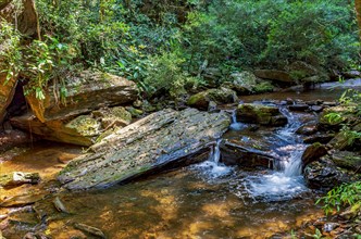 Small river running through the forest with water flowing between rocks and vegetation in the state of Minas Gerais