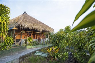 Traditional Bungalow in the Amazon Rainforest