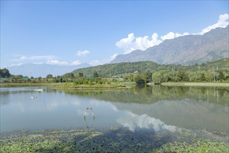 Beautiful lake in Srinagar