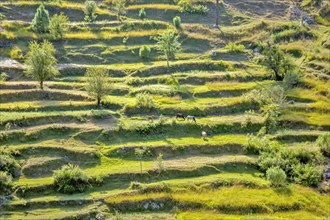 Chausali plain view in Uttarakhand