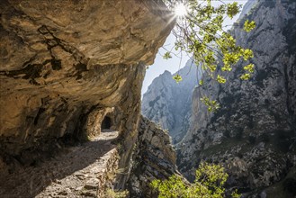 Hiking trail through the Cares Gorge