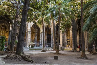 La Seu Cathedral courtyard