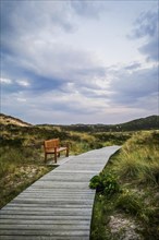 Bench in the dunes of the heath landscape