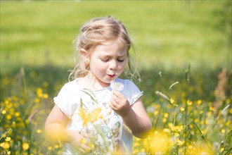 Child with dandelion in a meadow