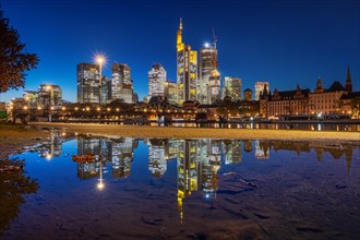 The glowing Frankfurt bank skyline is reflected in a rain puddle on the banks of the Main in the evening at blue hour.
