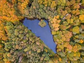 The foliage of the trees around the Brunnenweiher pond near Usingen in Taunus is beginning to turn autumnal yellow and orange.