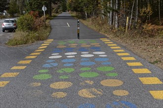 Trans Canada Trail