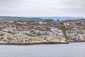 Houses and flowering heath on the island of Galterö