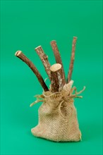 Group of natural licorice roots in a burlap bag isolated on a green background