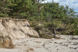 Beach erosion. Damage after the storm on the coast at Ystad