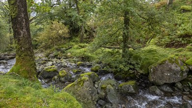 River Derwent