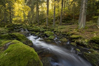 Höllfall river course in autumn