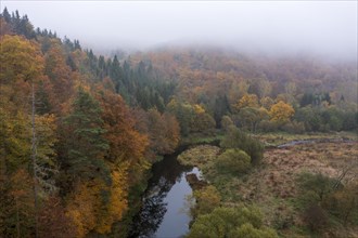 River Kamp in autumn