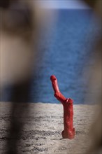 Red painted wooden pole on the beach