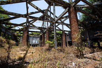 A former water and amusement park reclaimed by nature