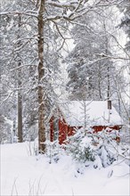 Red wooden cabin in a snowy forest in winter