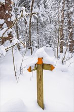 Trail marking with snow in the forest for a hiking path