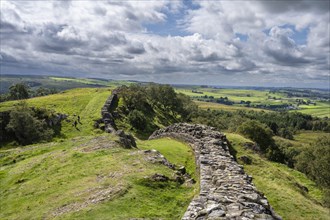 Hadrian's Wall at Walltown Crags