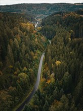 Aerial view of a road through the autumn forest in gloomy mood