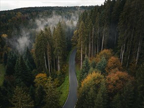 Aerial view of a road through the autumn forest in a gloomy mood with fog