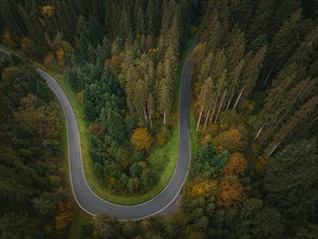 Aerial view of a road with an S-curve through the autumn forest