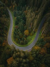 Aerial view of a road with an S-curve through the autumn forest