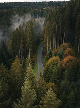 Aerial view of a road through the autumn forest in a gloomy mood with fog
